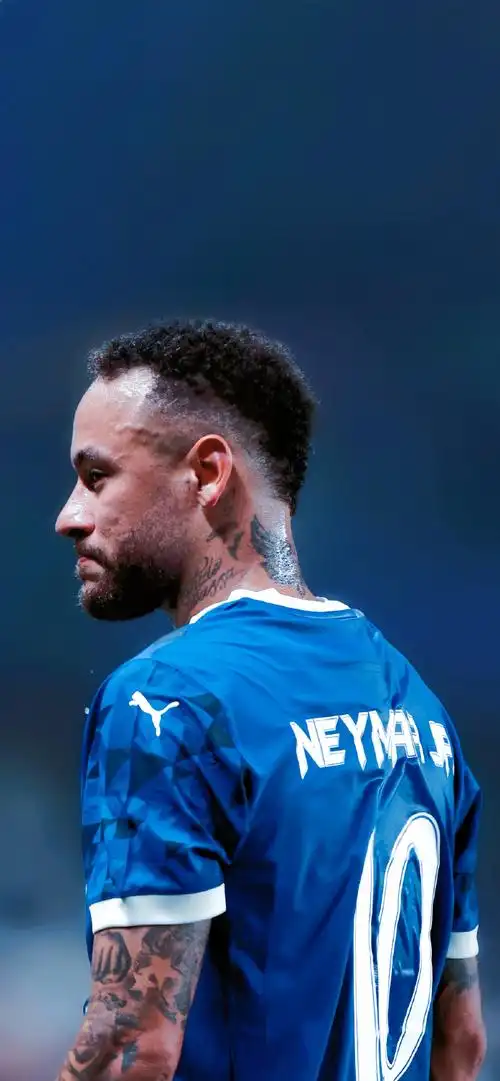 不仅强化了 不仅强化了