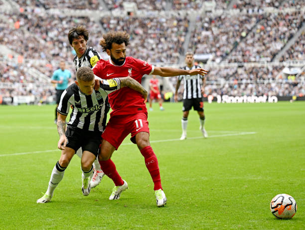 勇士依靠团 勇士依靠团